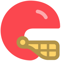 Hockey Cap icon